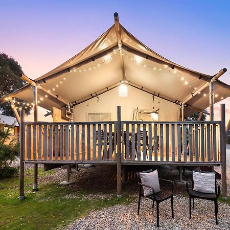 Scamander Sanctuary Holiday Park エクステリア 写真