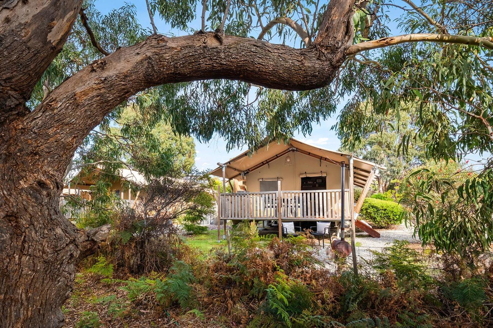 Scamander Sanctuary Holiday Park エクステリア 写真